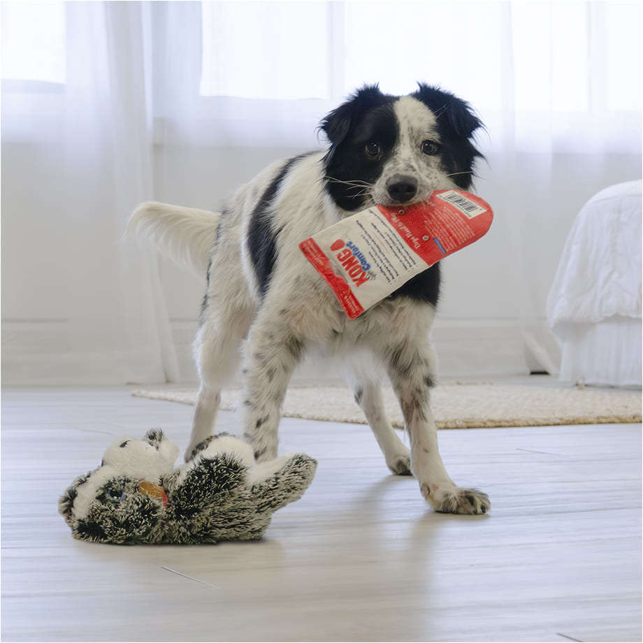 Brinquedo Pelúcia Kong Confort Pups Ozzie - Tam. Único