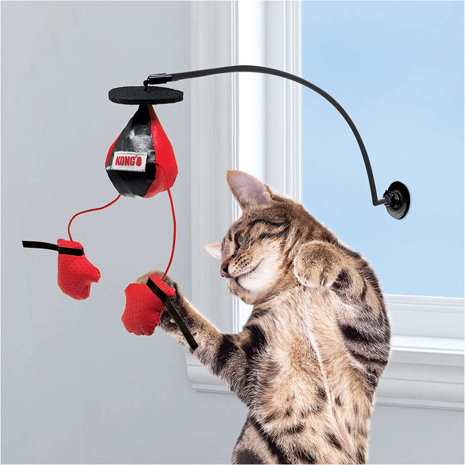Brinquedo Interativo Kong Connets Window Boxing para Gatos - Tam. Único