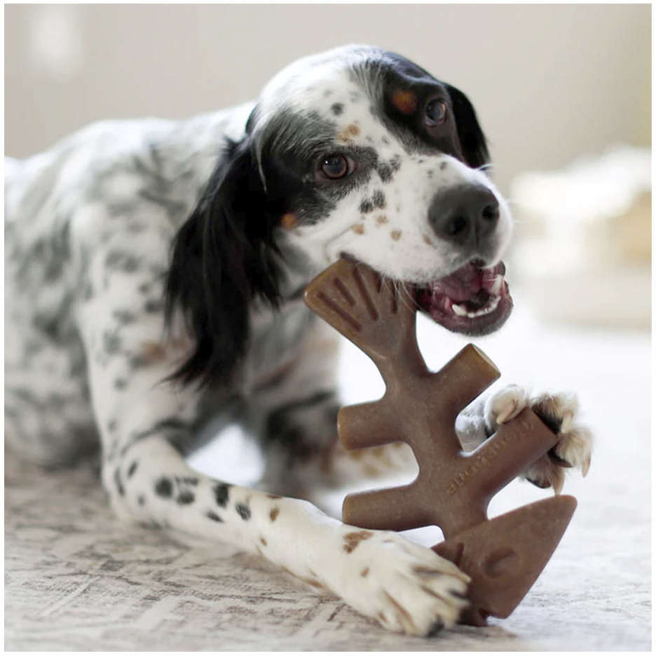 Brinquedo Mordedor Benebone Fishbone - Tam. G