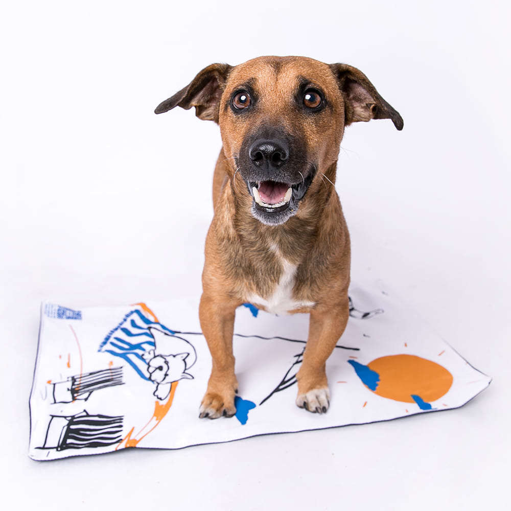 Tapete Lavável Meu Bartô B.Art Diário Canino Mini - Tam. Único