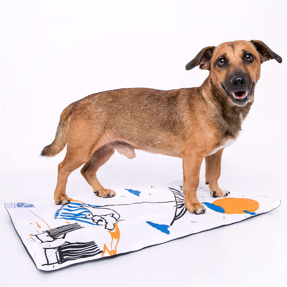 Tapete Lavável Meu Bartô B.Art Diário Canino Mini - Tam. Único