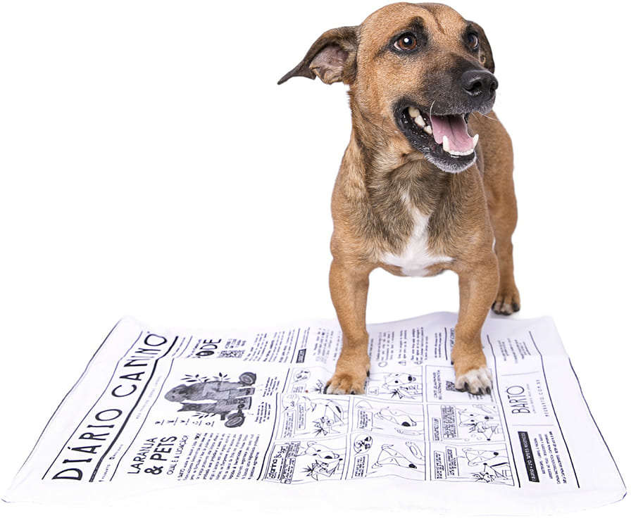 Tapete Higiênico Lavável Meu Bartô Diário Canino para Cães Raças Mini - Tam. Único