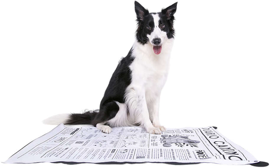 Tapete Higiênico Lavável Meu Bartô Diário Canino - Cães até 25Kg