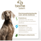 Hidratante Soft Care Spray SKB-on Complex para Cães e Gatos - 100 mL