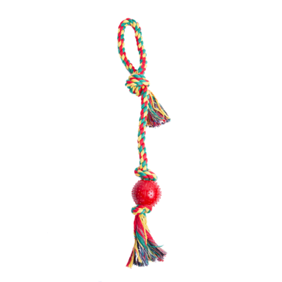 Brinquedo Kroco Mordedor Bolinha com Corda para Cães