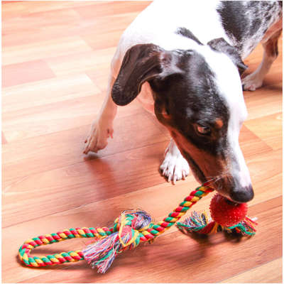 Brinquedo Kroco Mordedor Bolinha com Corda para Cães