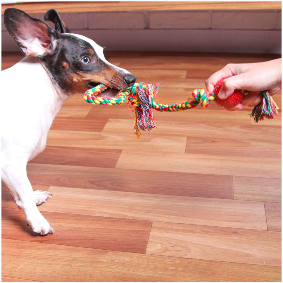 Brinquedo Kroco Mordedor Bolinha com Corda para Cães - Tam. Único