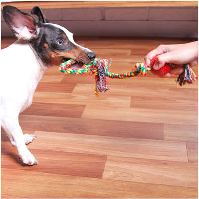 Brinquedo Kroco Mordedor Bolinha com Corda para Cães