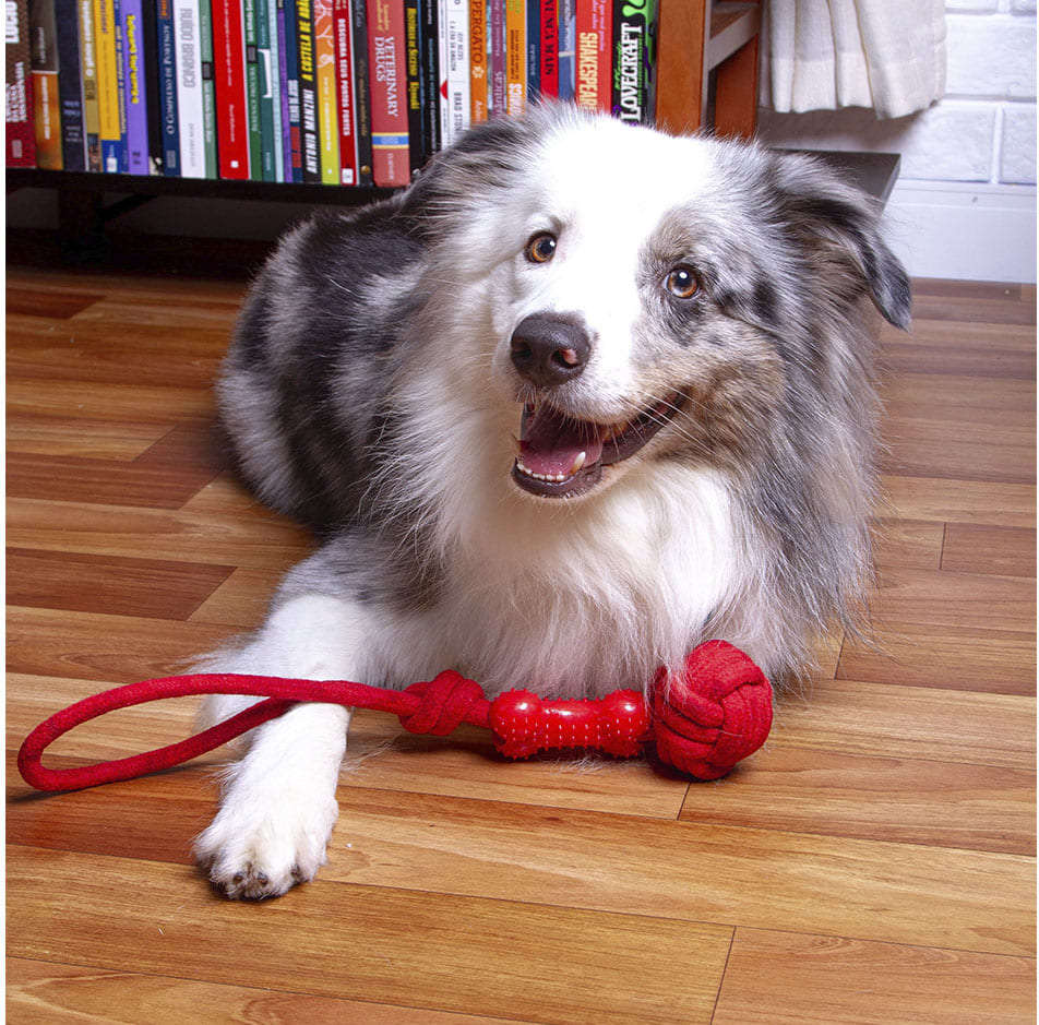 Brinquedo de Corda Kroco Puxador Vermelho - Tam. Único