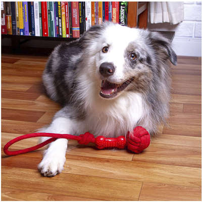 Brinquedo de Corda Kroco Puxador Vermelho