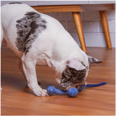 Mordedor Kroco Wishbone Texturizado Wood Azul para Cães