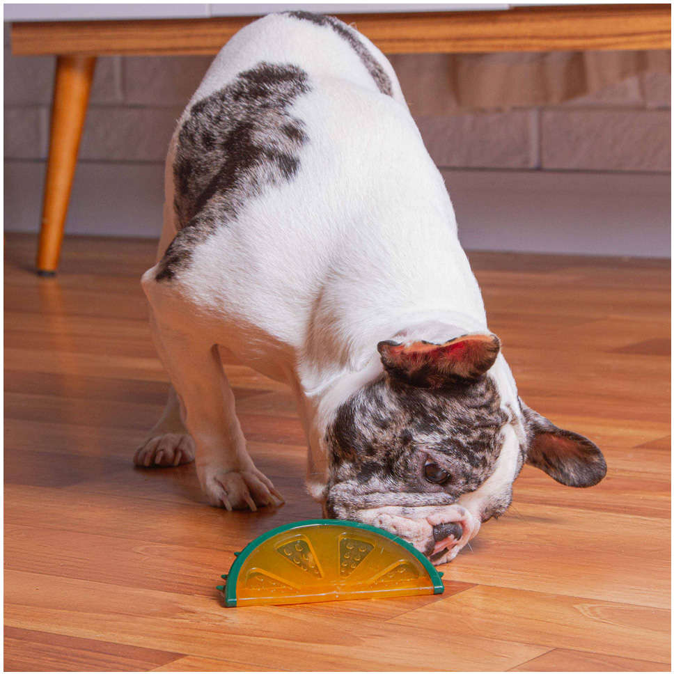 Mordedor Kroco Fruta Laranja para Cães - Tam. Único