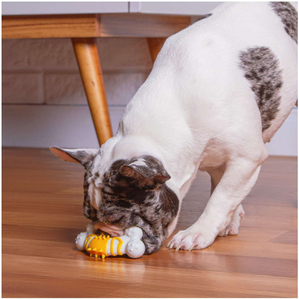 Brinquedo Kroco Mordedor Osso Amarelo para Cães - Tam. Único