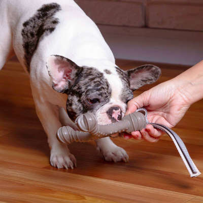 Mordedor Kroco Wishbone Texturizado Wood Marrom para Cães
