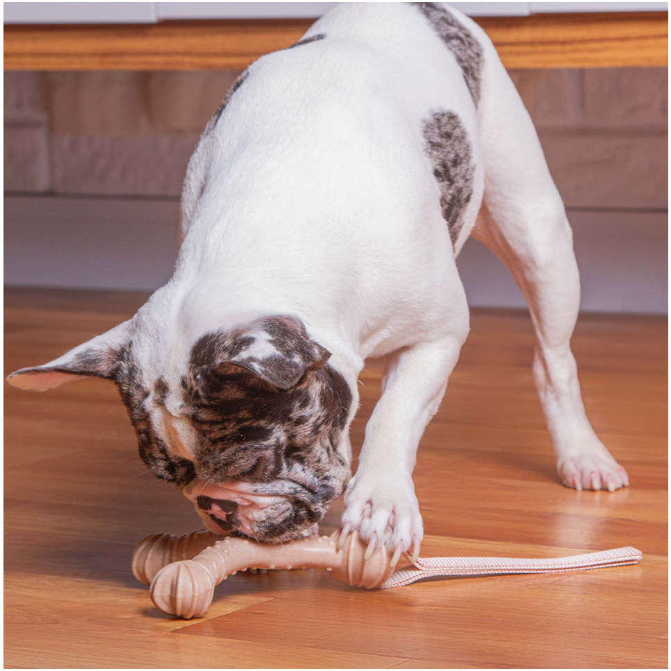 Mordedor Recheável Kroco Wishbone Texturizado Wood Bege para Cães - Tam. Único