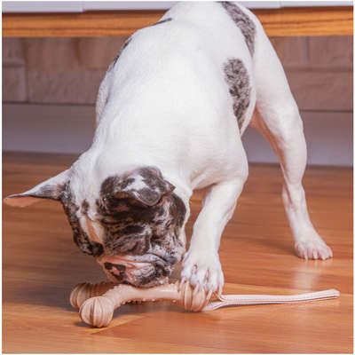 Mordedor Kroco Wishbone Texturizado Wood Bege para Cães