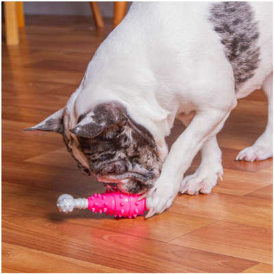 Mordedor Croco Coxa Rosa para Cães