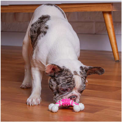 Brinquedo Kroco Mordedor Osso Rosa para Cães
