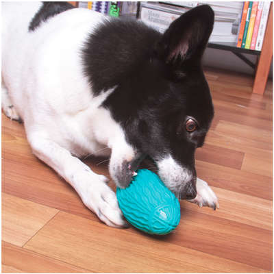 Brinquedo Kroco Bola de Rugby Azul Claro para Cães