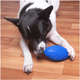 Brinquedo Kroco Bola de Rugby Azul para Cães