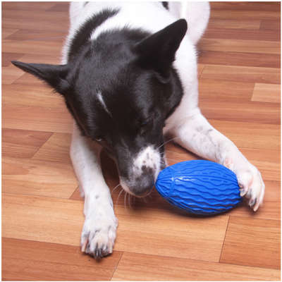 Brinquedo Kroco Bola de Rugby Azul para Cães
