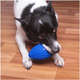 Brinquedo Kroco Bola de Rugby Azul para Cães