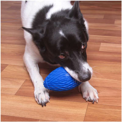 Brinquedo Kroco Bola de Rugby Azul para Cães