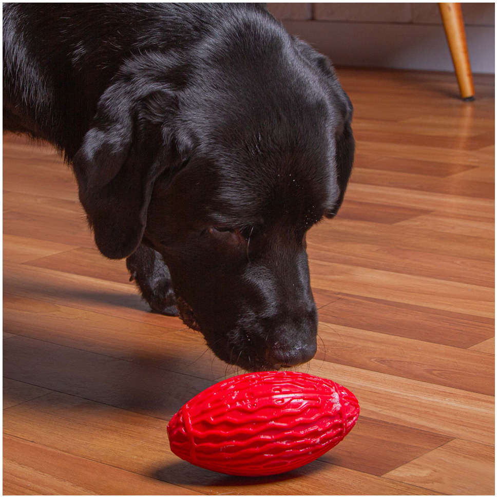 Brinquedo Kroco Bola de Rugby Vermelho para Cães - Tam. Único