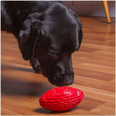 Brinquedo Kroco Bola de Rugby Vermelho para Cães