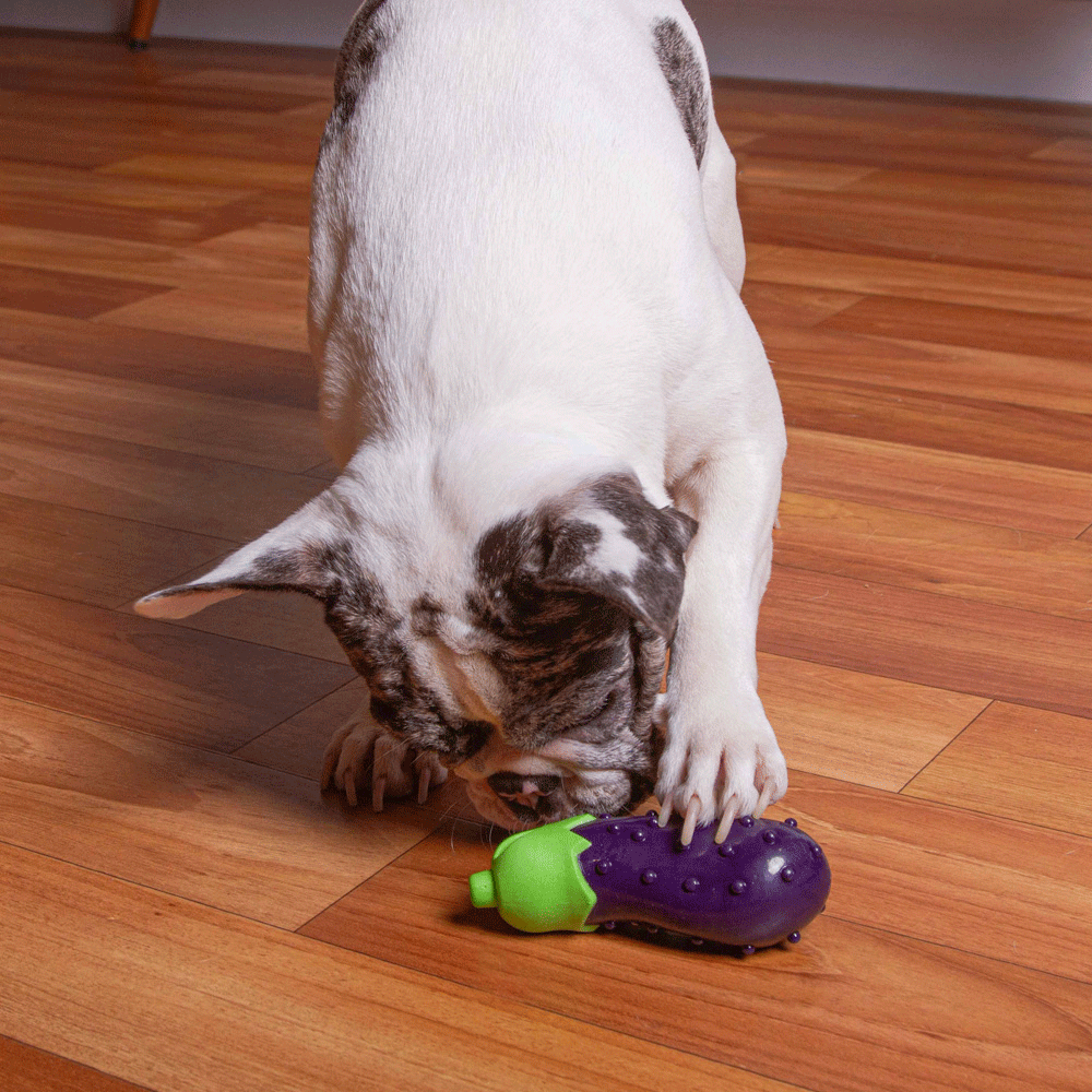 Brinquedo Kroco Berinjela para Cães - Tam. Único