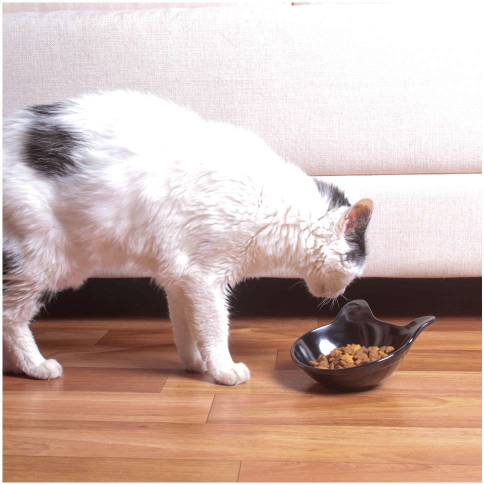 Comedouro Krocos Melamina Preto para Gatos - 600 mL