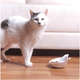 Comedouro Kroco Melanina Branco para Gatos
