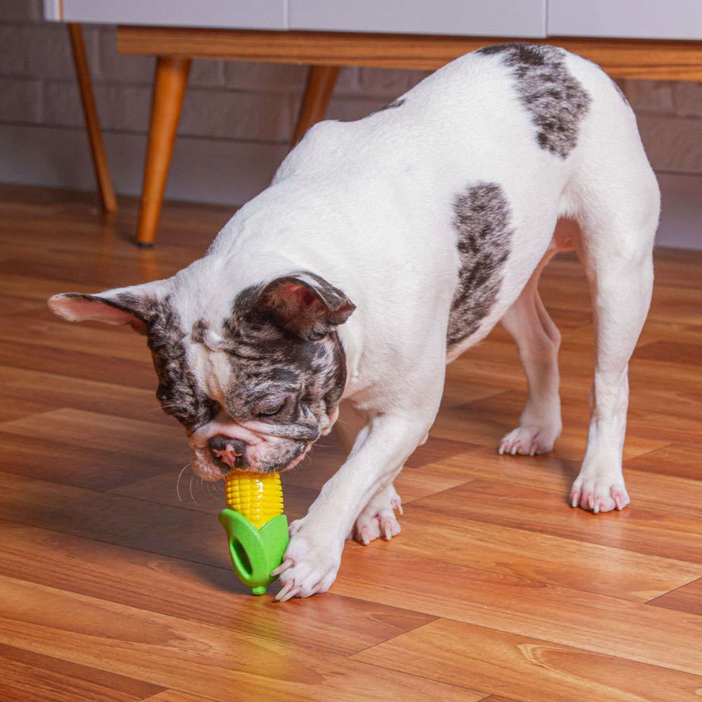 Brinquedo Kroco Milho para Cães - Tam. Único