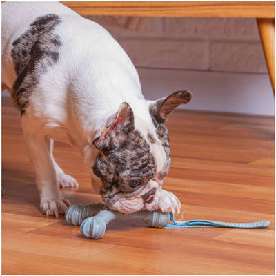 Mordedor Kroco Wishbone Texturizado Wood Azul Claro para Cães