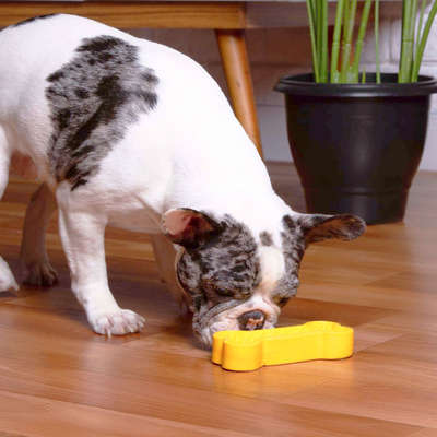 Mordedor Kroco Osso TPR Amarelo para Cães