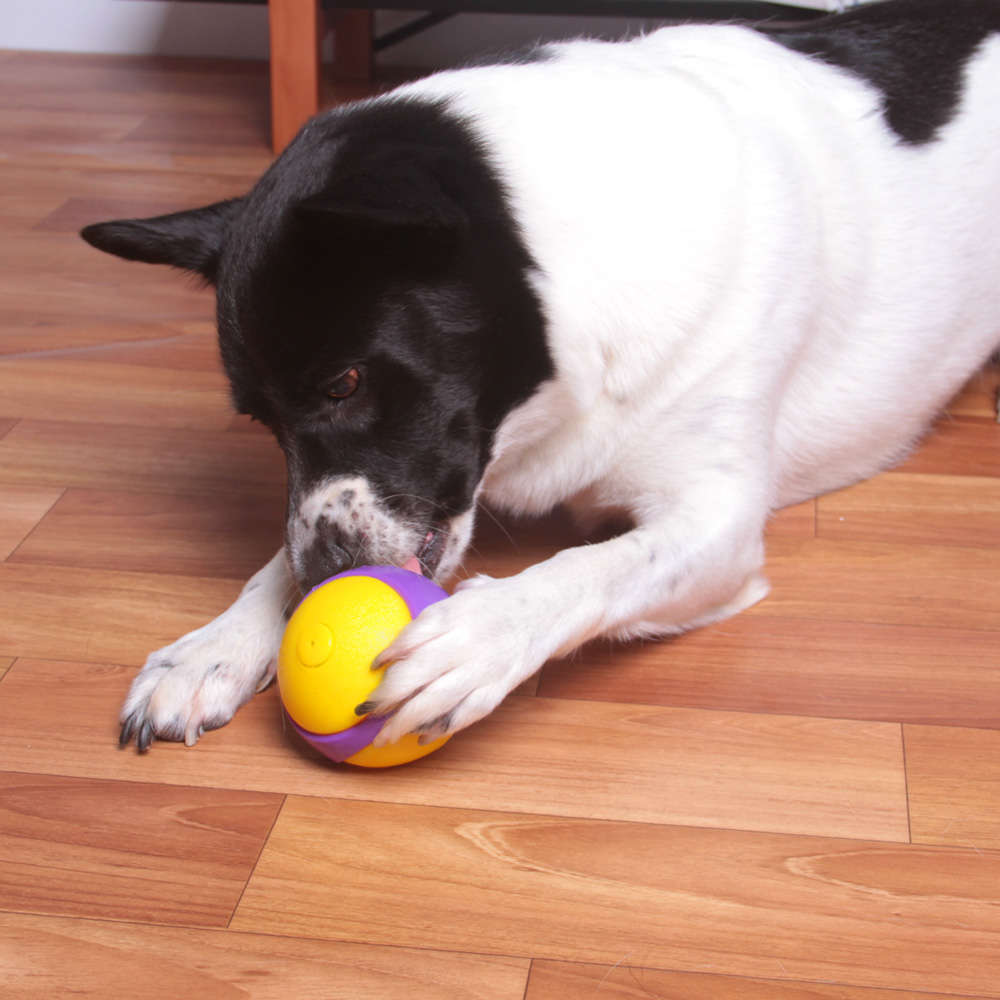 Brinquedo Kroco Bolinha de Borracha Apito Roxo para Cães - Tam. G