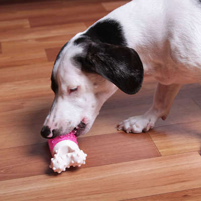 Mordedor Kroco Osso Massageador Rosa para Cães