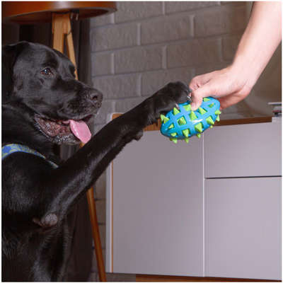 Mordedor Kroco Espinhos Azul para Cães