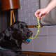 Brinquedo Kroco Puxador Corda Verde/Azul para Cães