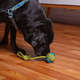Brinquedo Kroco Puxador Corda Verde/Azul para Cães