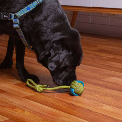 Brinquedo Kroco Puxador Corda Verde/Azul para Cães