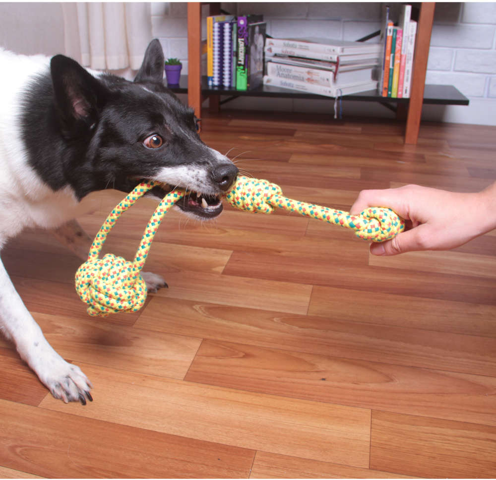 Brinquedo Kroco Puxador Corda para Cães - Tam. Único