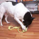 Brinquedo Kroco Puxador Corda para Cães