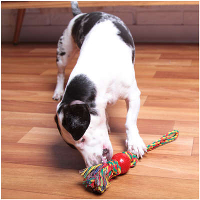 Brinquedo Kroco Mordedor Puxador Vermelho para Cães