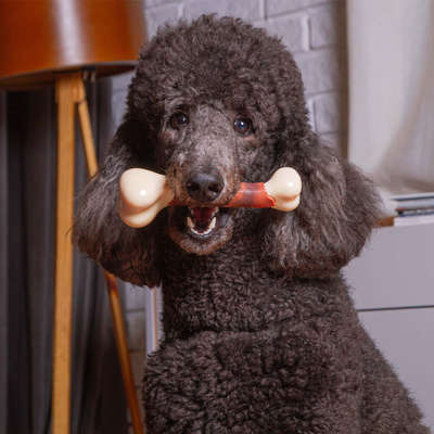 Mordedor Kroco Osso Sabor Bacon para Cães