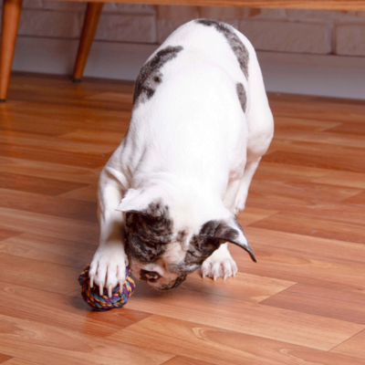 Brinquedo Kroco Bolinha de Corda Azul para Cães