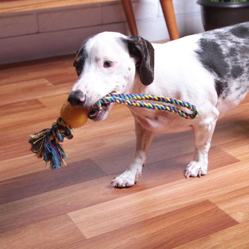Brinquedo Kroco Mordedor Puxador Amarelo para Cães - Tam. Único