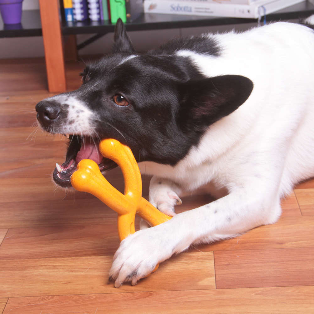 Mordedor Kroco Osso X Wood Aromatizado Carne para Cães - Tam. Único