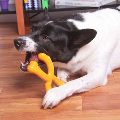 Mordedor Kroco Osso X Wood Aromatizado Carne para Cães