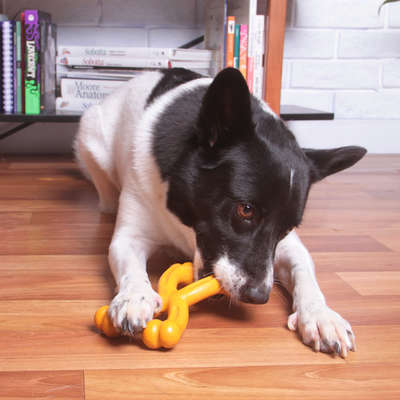 Mordedor Kroco Osso X Wood Aromatizado Carne para Cães